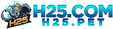 h25slot.net Logo